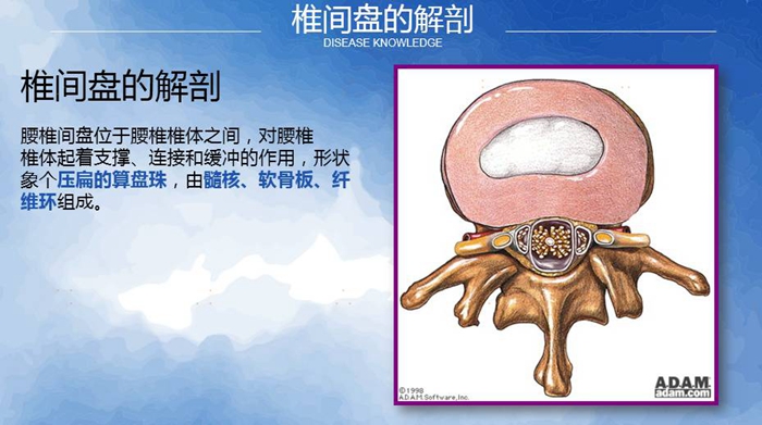 國康健康保險談腰椎間盤突出