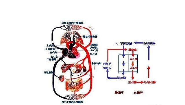 獻血這么多次，這三件事，有人告訴你嗎？