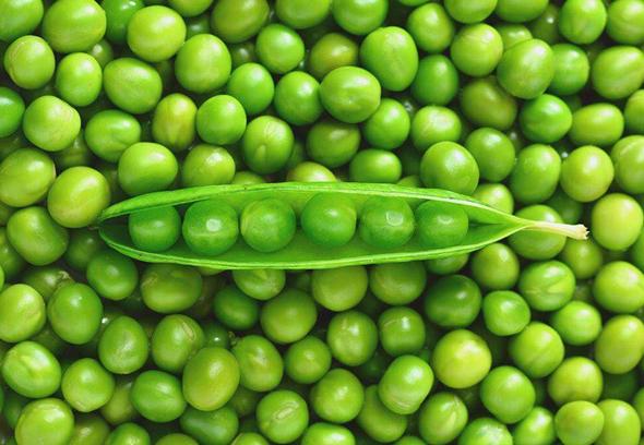 這種日常食品的蛋白質(zhì)含量竟然比雞蛋、牛奶都高！