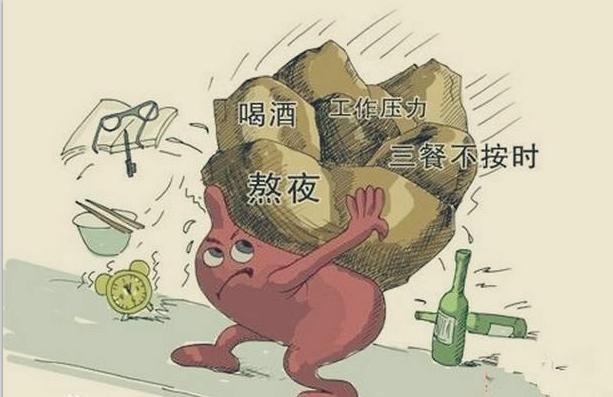 肝臟的6大“殺手”和5大“衛(wèi)士”，你都知道幾個(gè)？