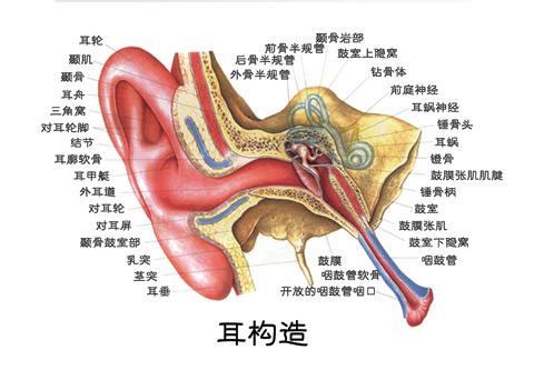 生活中導致眩暈的3種原因，和其治療辦法