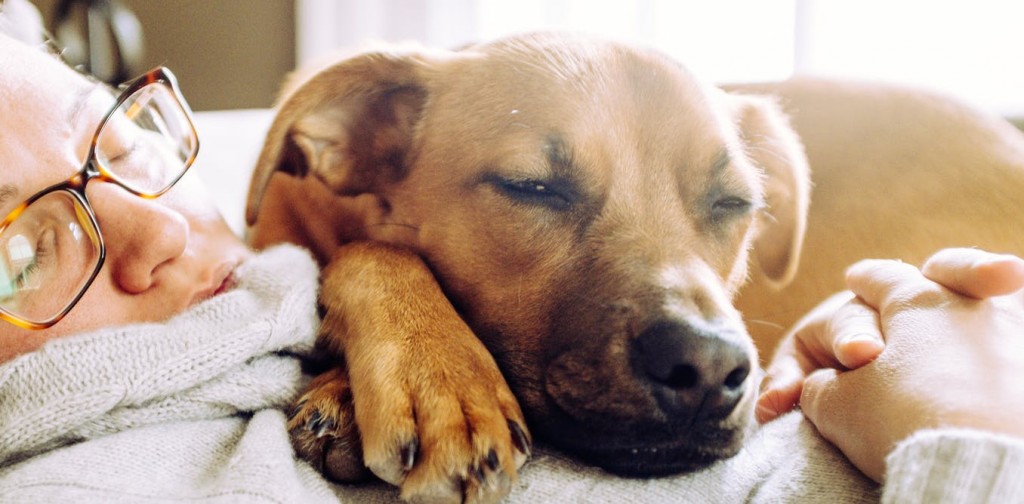 ZZZ...你說啥，聽不見…