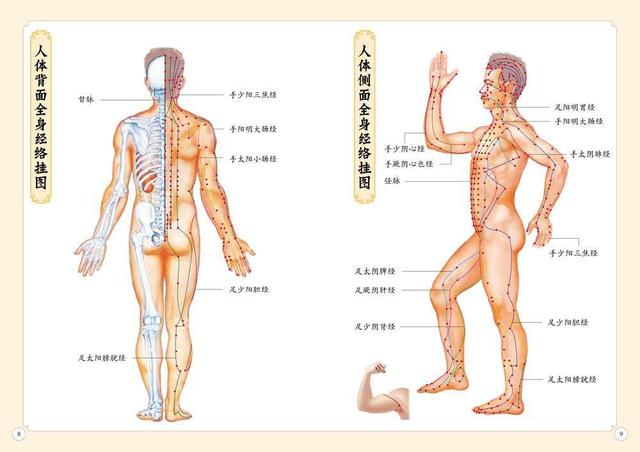 冬病夏治，不知道這幾個養(yǎng)生方法怎么行？