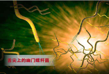 舌尖上的幽門(mén)螺桿菌